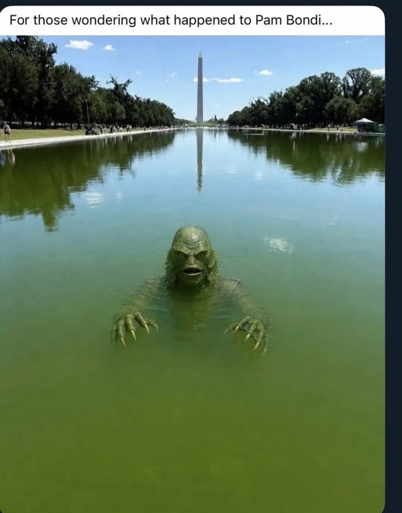 Washington D.C. Lincoln Memorial Reflecting Pool wird zum Algen-Tümpel