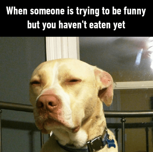 Hangry Memes