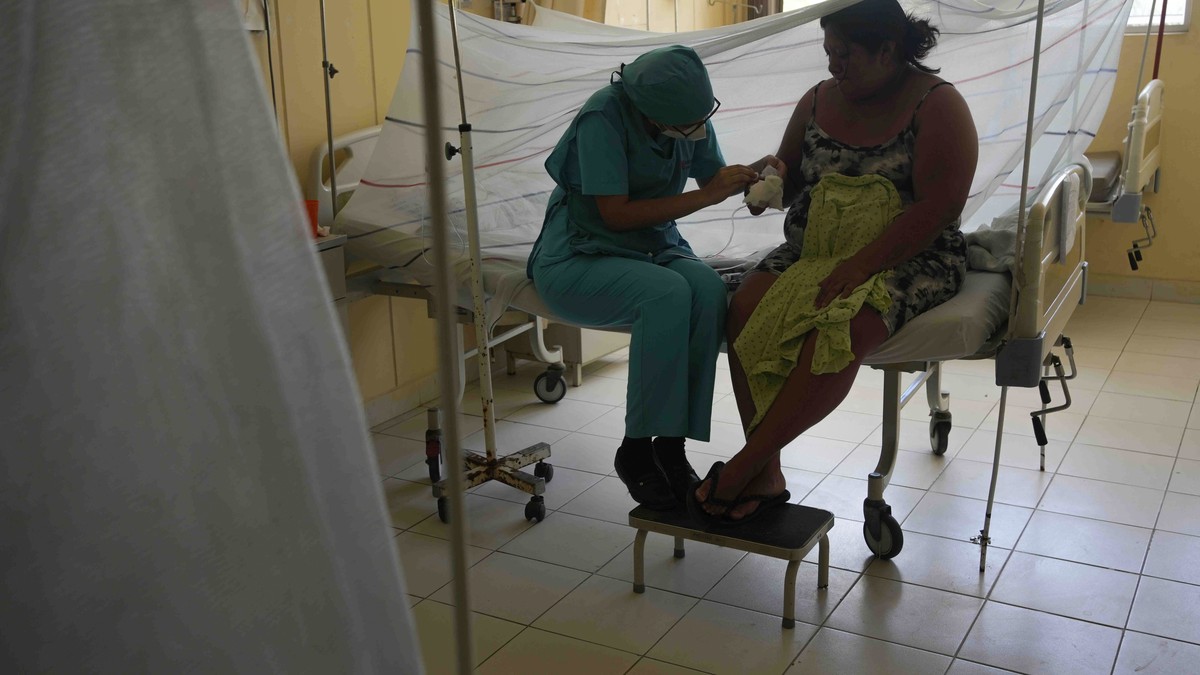 Rapid increase in dengue infections in Brazil A soldier is said to have shot four people in Germany
