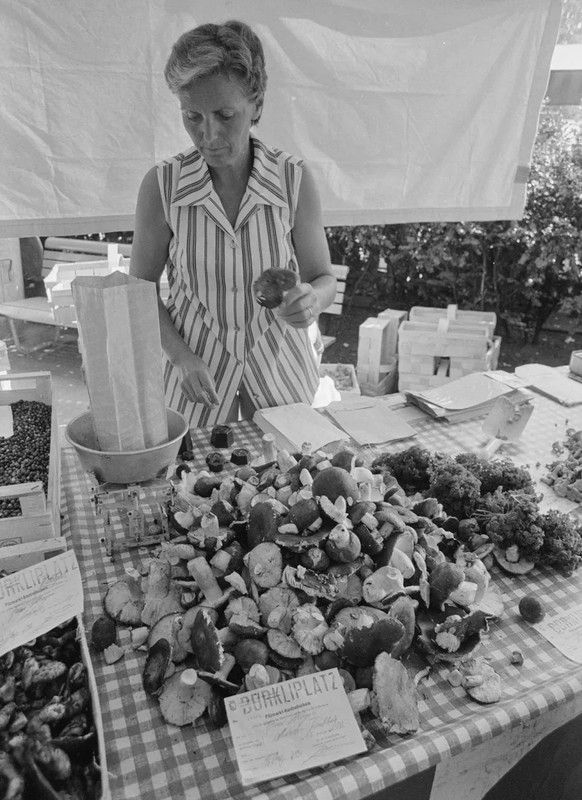 Pilzverkauf auf dem Zürcher Bürkliplatz im Spätsommer 1973.
https://ba.e-pics.ethz.ch/#detail-asset=f35e72f3-c11e-4856-bebe-e2c3c83bf416