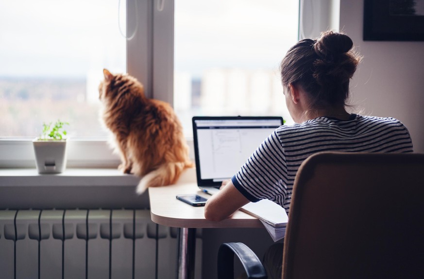 Eine junge Frau arbeitet am Computer. Digitale Helfer können den PC-Alltag erleichtern.