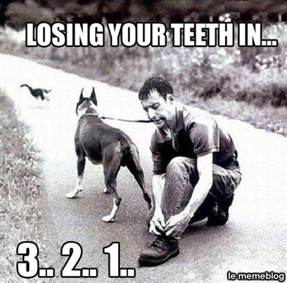 Viele, viele, viele bunte ... Bilder. Es gibt Bilder. Und Gifs. Picdump.
Auch nicht die beste Idee... 豫