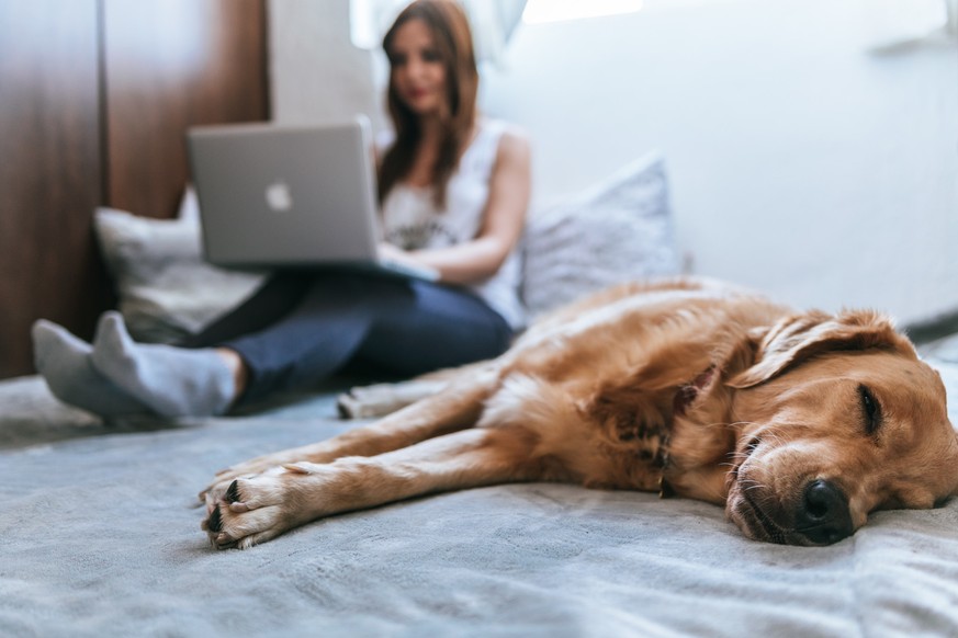 Hunde haben's gut. Die legen sich hin, schlafen ein bisschen und sind wieder topfit. Anders wir Zweibeiner ...