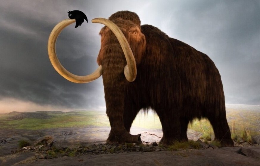 Ich habe Mastodon probiert – und es hat mein Online-Leben verändert