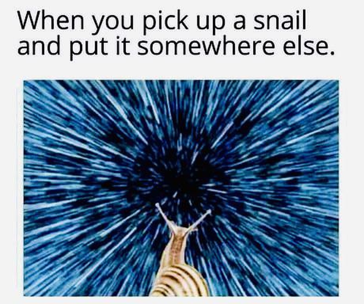 Schnell, bevor alles weg ist! PICDUMP!\nDie Schnecke: "Oh, Warp 8"