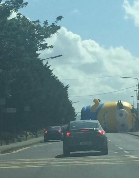 Giant minion