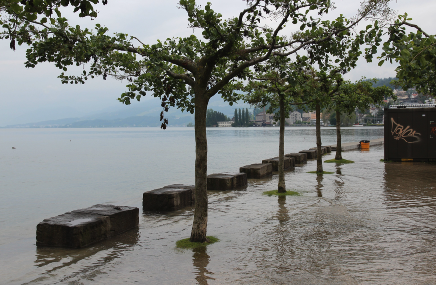 Zürichsee schwappt fast über.