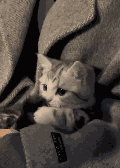 Animiertes GIF