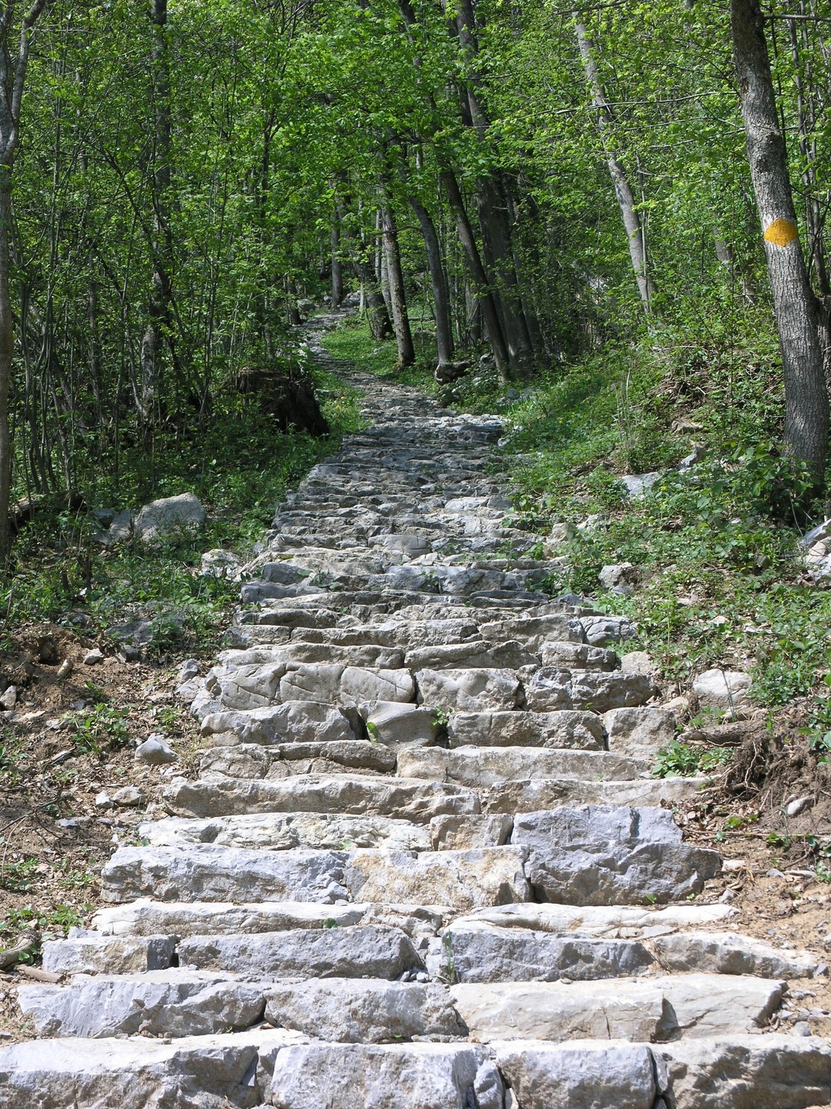 Treppenweg Amden Weesen Rauszeit Treppen