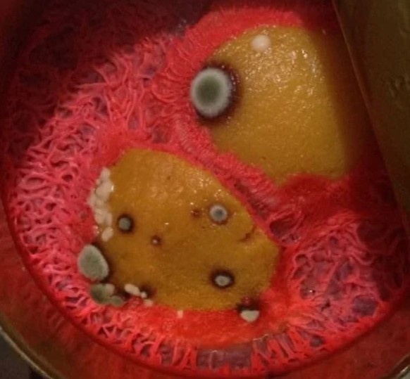 Canned moldy peach
