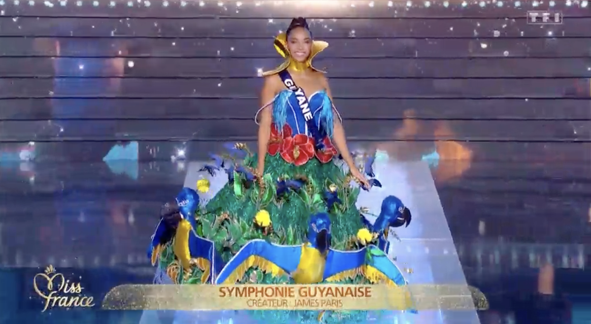 Quand y'en a pas assez de perroquets, il y en a encore.