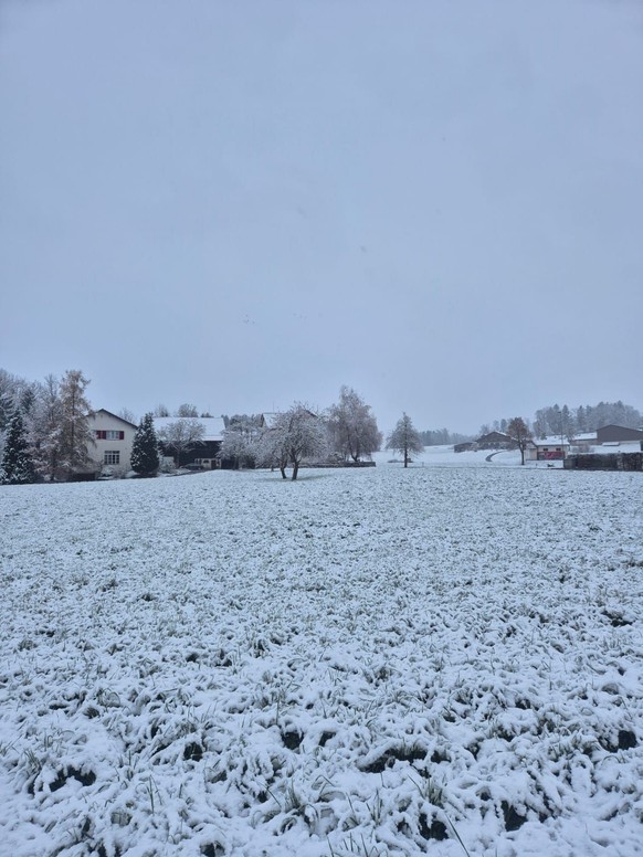 Schnee in Dürnten im Kanton Zürich am 21. November 2025.