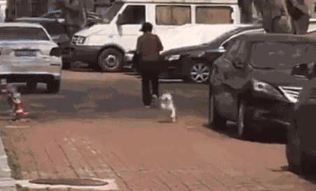 Animiertes GIF