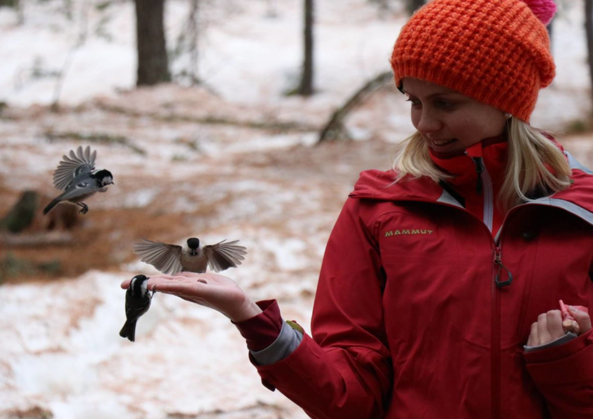 Nourrir les oiseaux sauvages à Pontresina. Et apprendre toute une foule de choses.