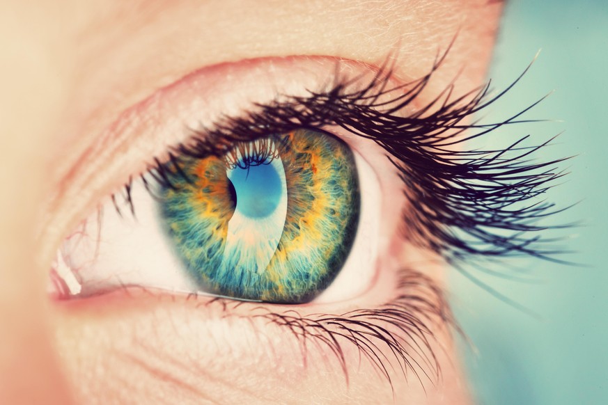 Iris Auge Wimpern