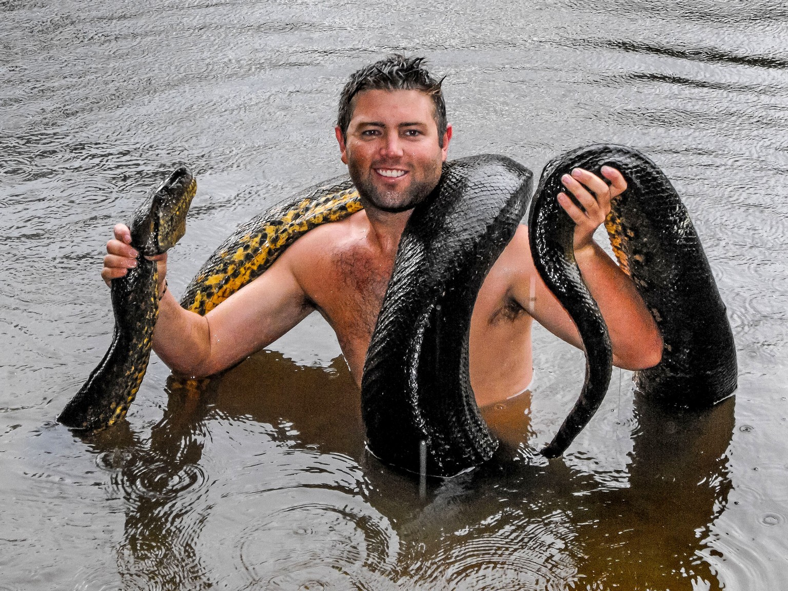 Die einen schwimmen mit Delfinen, die anderen mit riesigen Anakondas. Ungiftig sind diese Schlangen zwar, dafür erwürgen sie ihre Beute.&nbsp;