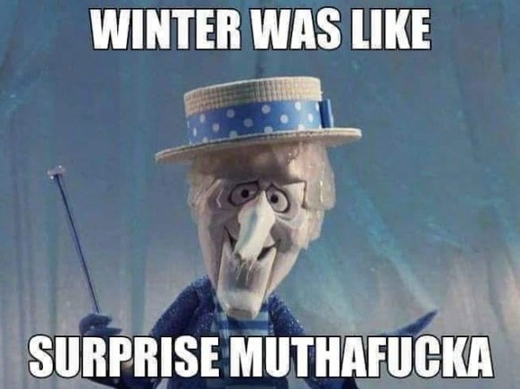 Überraschungs-Winter im Frühling. Die Memes.