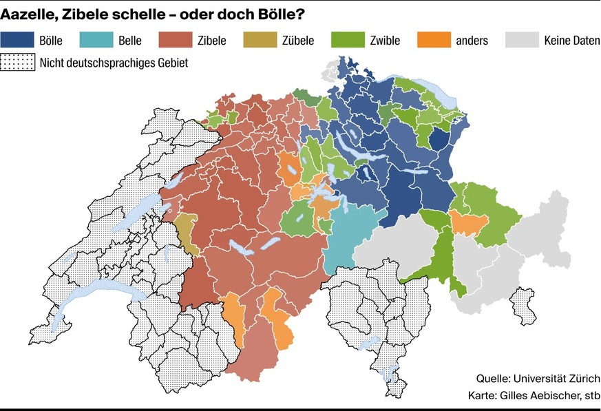Zum Wort «Zwiebel» gibt es verschiedene Dialekt-Varianten.