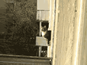 Animiertes GIF