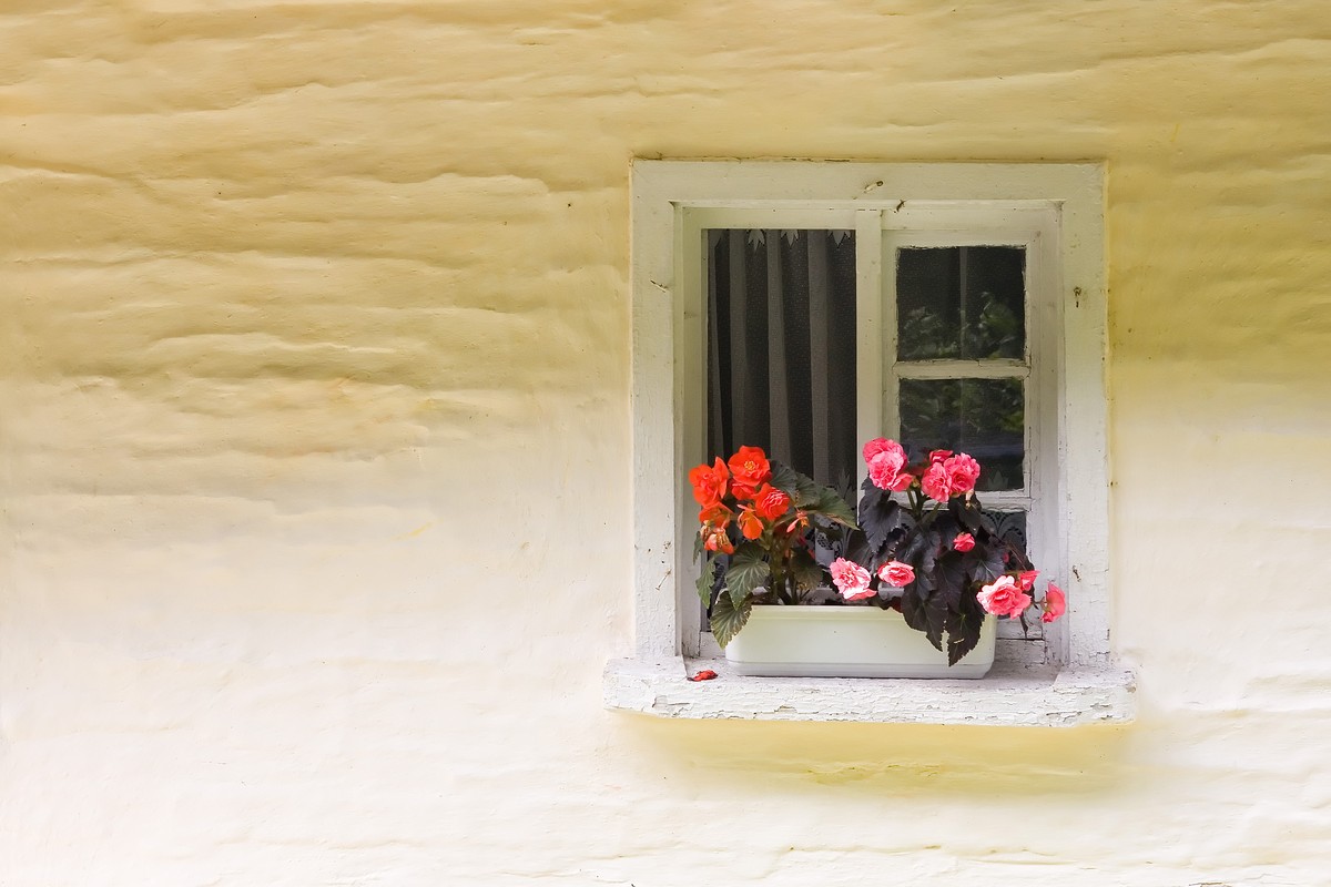 Ein freundliches Fensterchen im niederschlesischen Miedzygorze.