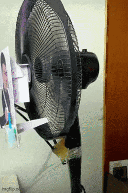 Animiertes GIF