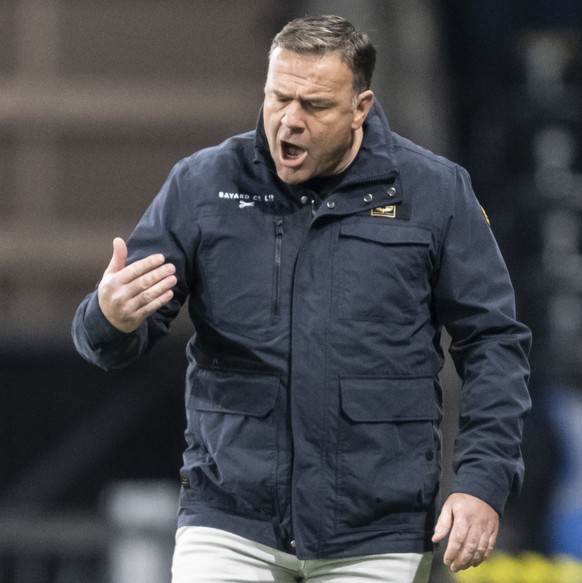 Trainer Patrick Rahmen (YB) gestikuliert im Fussball Meisterschaftsspiel der Swiss Super League zwischen Young Boys, YB, und dem Grasshopper Club Zuerich, GC, am Samstag, 28. September 2024 im Stadion ...