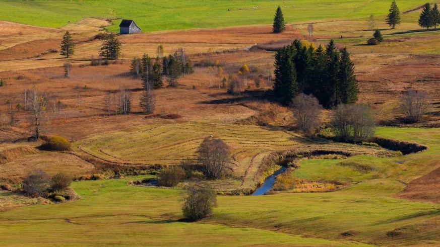 Gewässerperlen Schweiz WWF Rauszeit Biber Rothenthurm Hochmoor