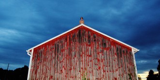 Vielleicht krieg' ich jetzt einen Zusammenschiss, aber ich kann diese nackte, grenzauflösende Menstruations-Kunst einfach nicht mehr sehen 