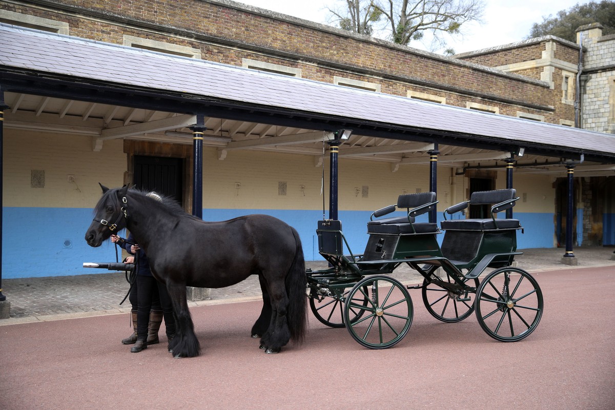 The driving carriage and two Fell ponies, Balmoral Nevis and Notlaw Storm, belonging to Britain's Prince Philip is pictured at Windsor Castle, England, Wednesday, April 14, 2021. The Duke's  ...