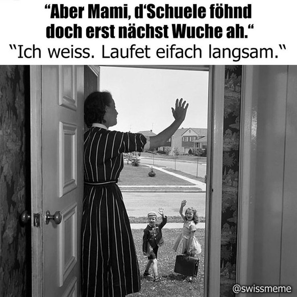 Das Universum hat etwas für dich: PICDUMP Numer 386!\ntschühüüs