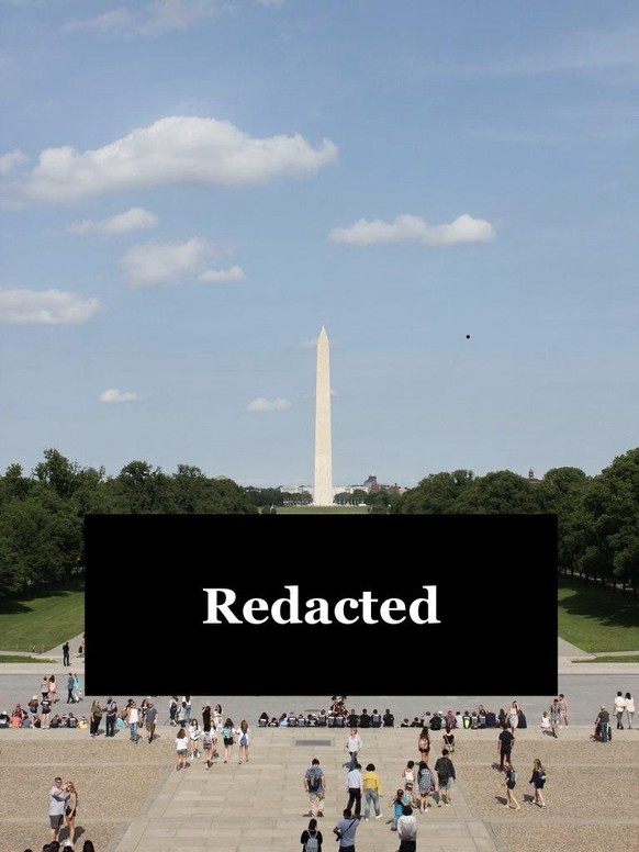Reflecting Pool Trump Meme (2026)