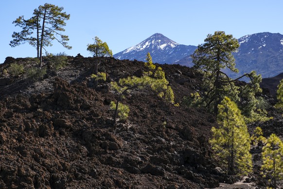 epa12734053 A view of Canadas del Teide National Park in Tenerife (Canary Islands) Spain, 13 February 2026. The area has recorded abnormal seismic activity over the last 10 years, which for the scient ...