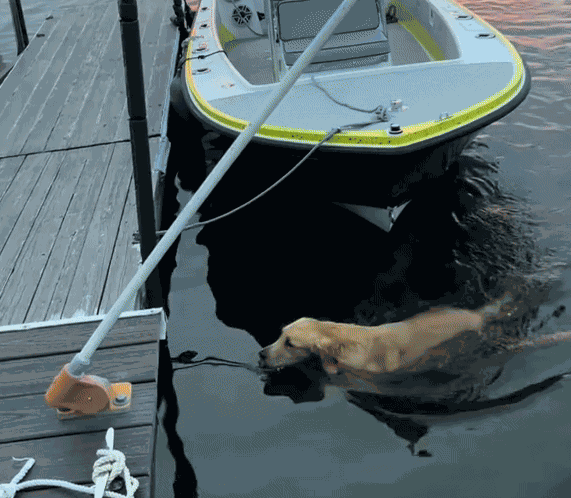 Animiertes GIF