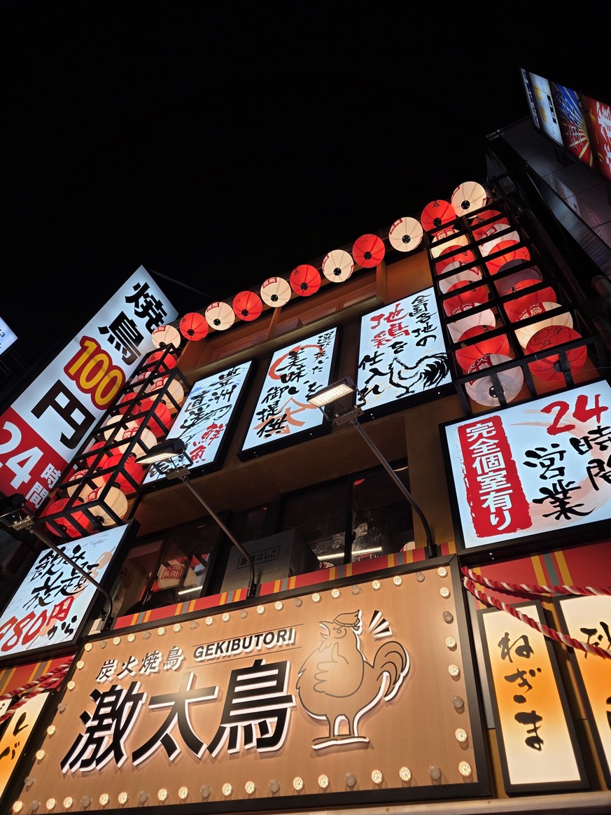 Madeleine in Japan: Handytest Samsung Galaxy s25 Pro