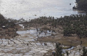 Taifun Haiyan riss 7500 Menschen in den Tod.&nbsp;