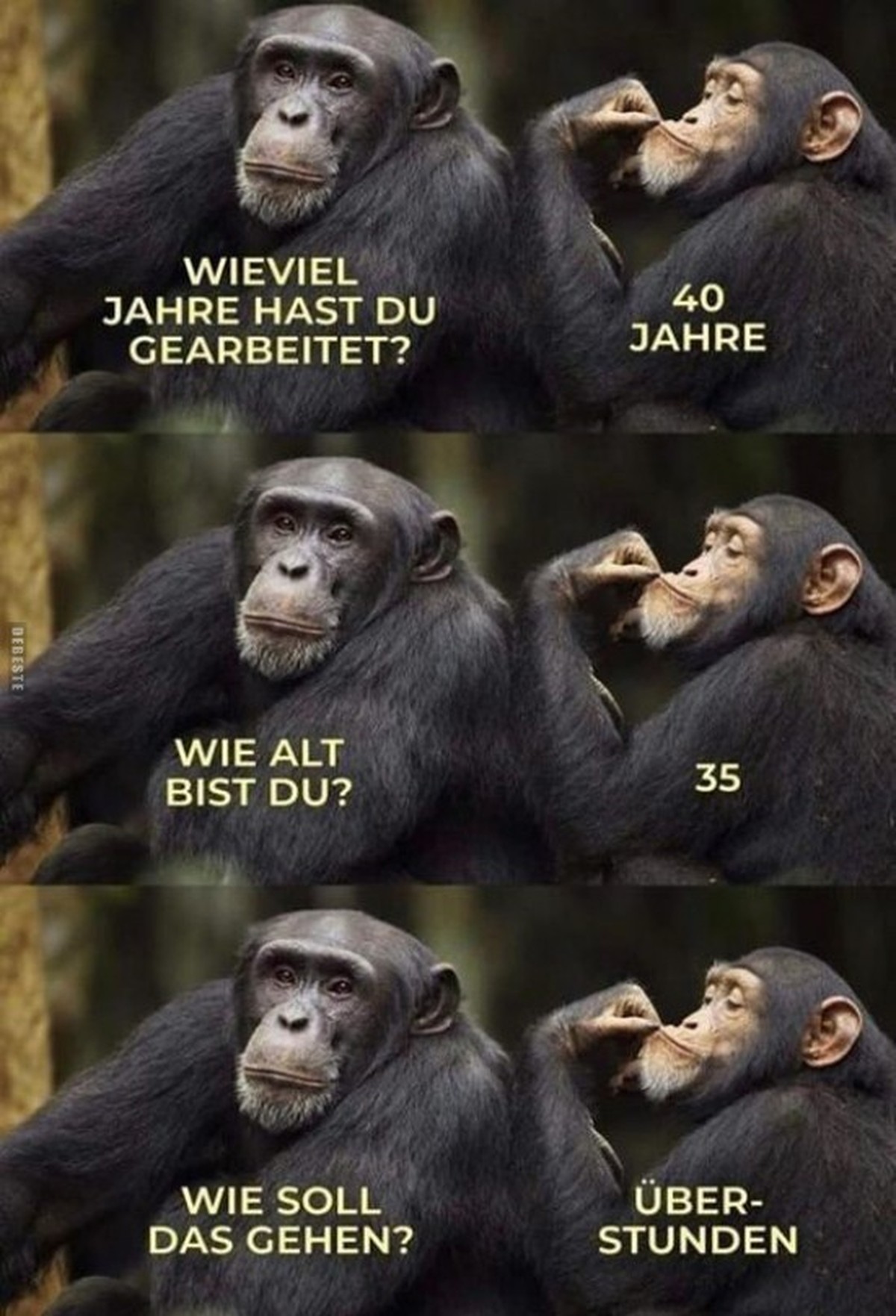 Picdump 209 – der Meme-Mittwoch wartet auf dich!\nGenau.