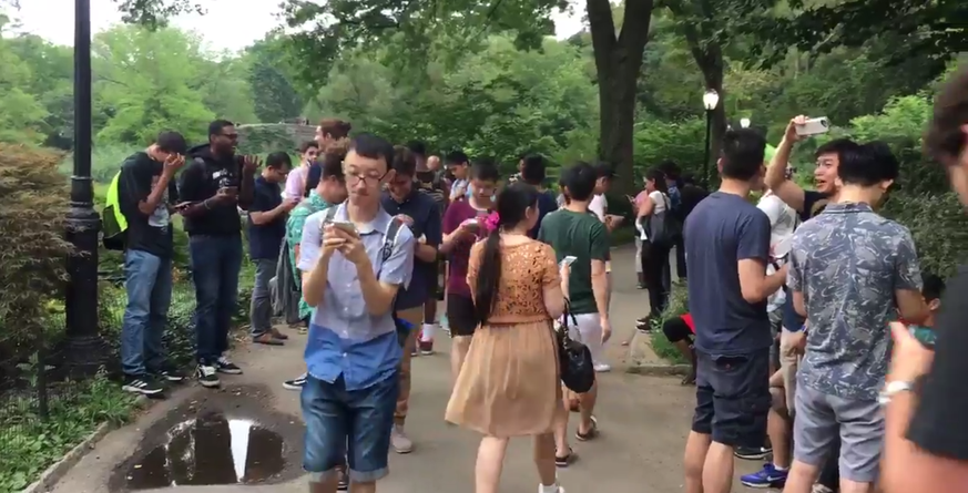 Pokémon-Spieler an einem Hotspot im New Yorker Central Park (11. Juli 2016).