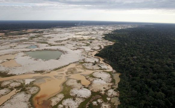 Abgeholzter Regenwald in Peru.