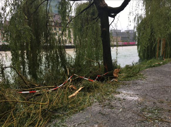 Zürich: Hochwasser bei Limmat beim GZ Wipkingen am 15. Juli 2021