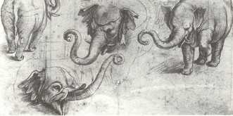 Wie der Elefant Hanno durch päpstliche Dummheit umkam 