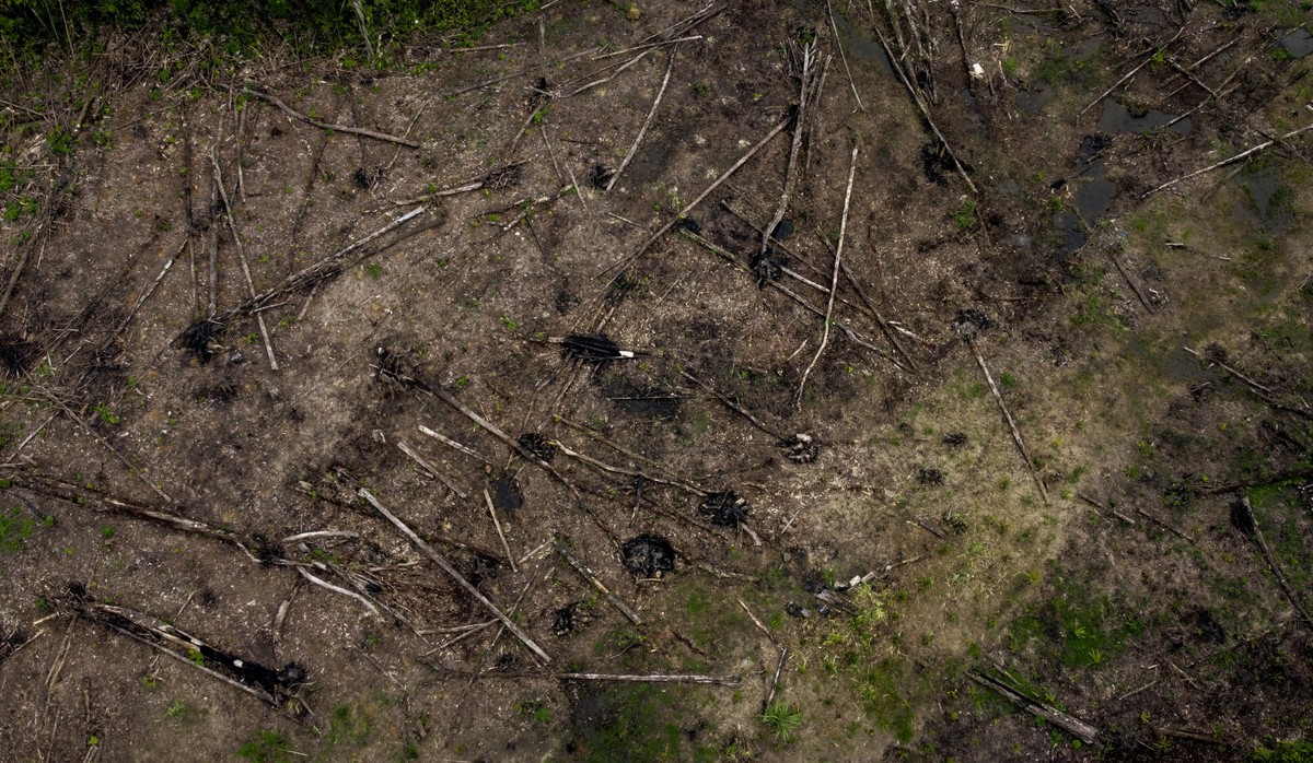 AMAZONAS, COLOMBIA - MARCH 31: An aerial view of the deforestation and the destruction of habitats in Amazon, Colombia on March 31, 2023. The main cause of this continuous increase in forest exploitat ...
