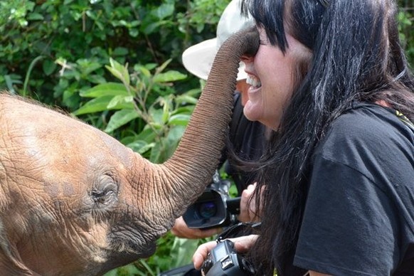 cute news tier elefant

https://x.com/NatalieCash/status/1350926711182004229