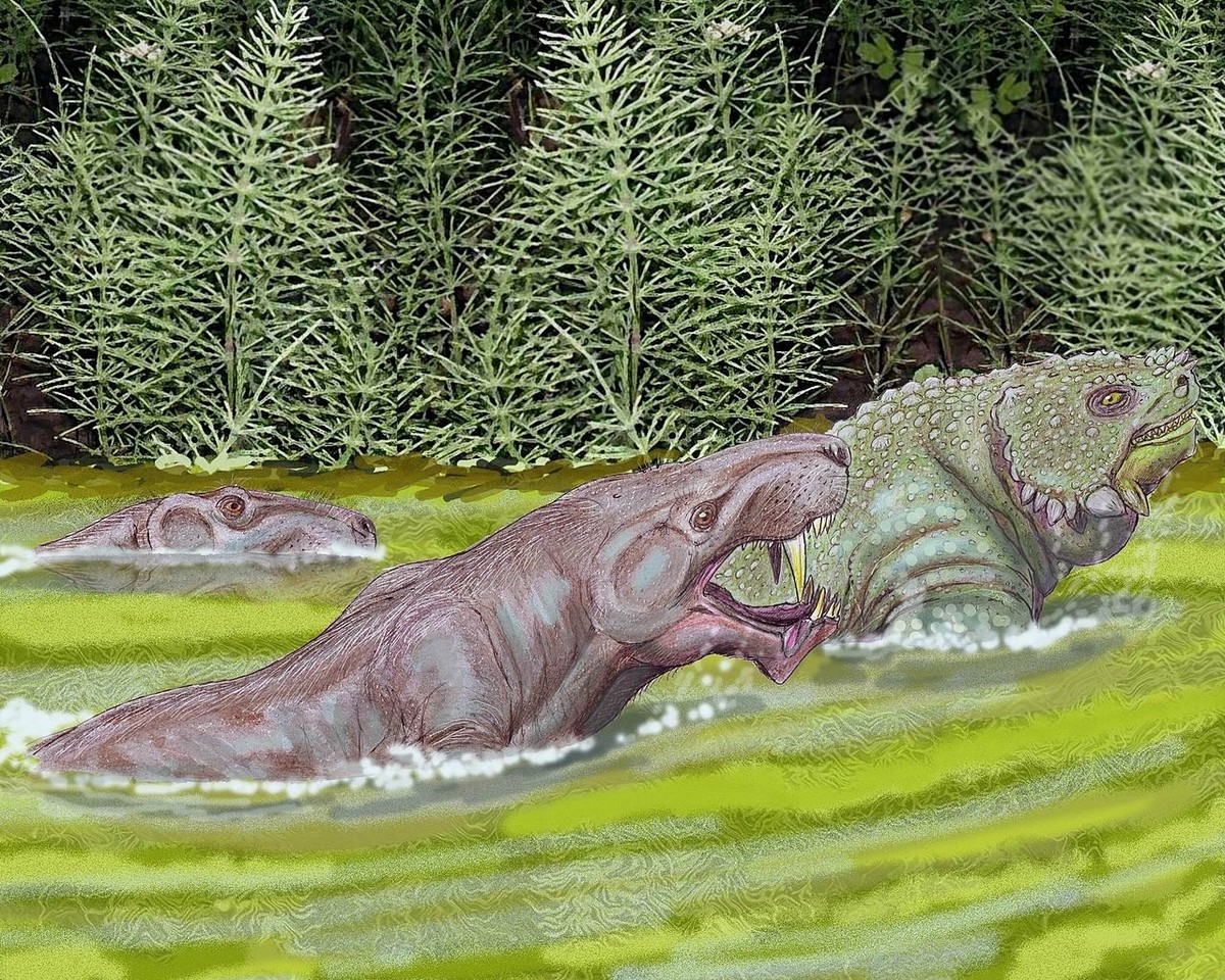Zwei Inostrancevia verfolgen einen Scutosaurus
Von Creator: Dmitry Bogdanov - dmitrchel@mail.ru, CC BY 3.0, https://commons.wikimedia.org/w/index.php?curid=4188086