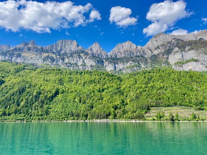 Churfirsten Walensee