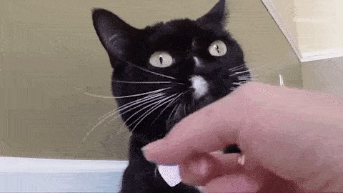Animiertes GIF