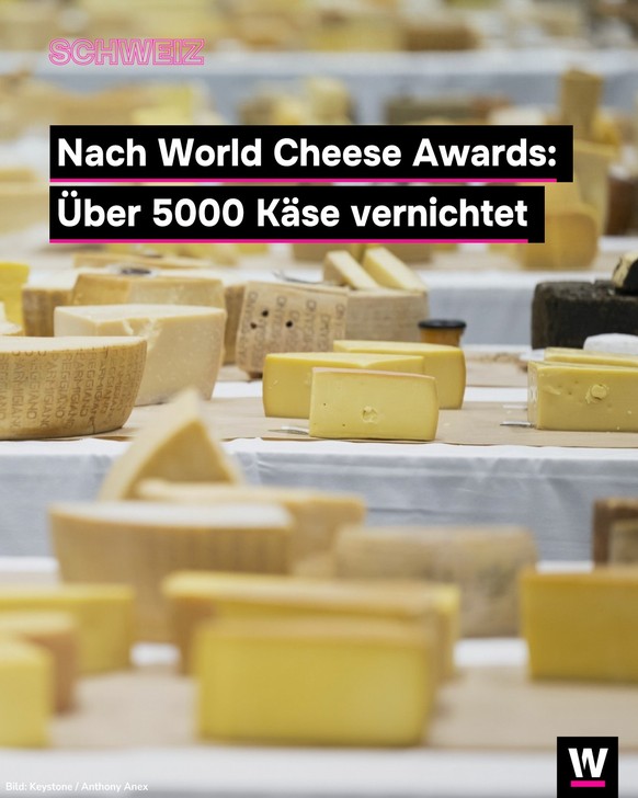 &lt;p&gt;Nach der Käse-WM mussten alle Käse vernichtet werden.&lt;/p&gt;