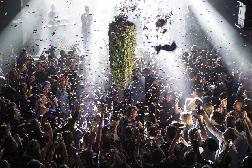 Eine künstliche Hanfblüte hängt in einem Club von der Decke. Um Mitternacht feierten hier Kiffer die Legalisierung von Cannabis.&nbsp;