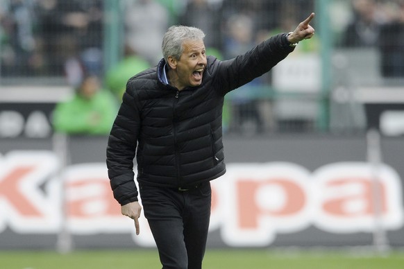 Gladbach-Coach Favre hat sein Team zum Champions-League-Aspiranten entwickelt.