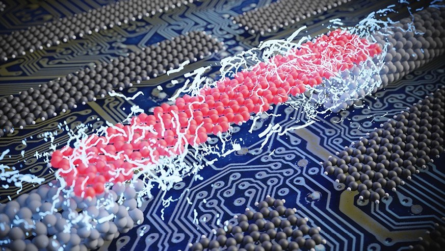 Forschenden der Empa, der Universität Peking und der University of Warwick ist es erstmals gelungen, einzelne atomar genaue Nanobänder mit Elektroden zu versehen. (15. August 2023)
