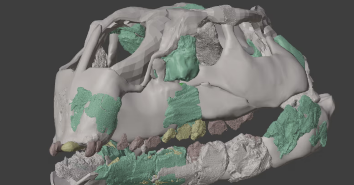 forscher-entdecken-mini-dinosaurier-in-spanien